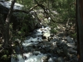 Yosemite NP